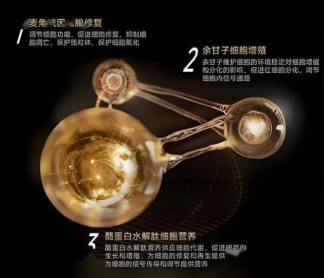 ava爱华外汇官网全国融资讯记者采访团走进武夷山 调研“三茶”统筹推动新路